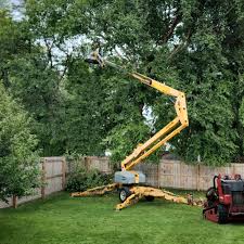 Best Leaf Removal  in Arden Hills, MN